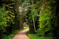 Rallysprint “Vidzeme” cancelled
