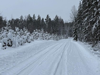Sniega pārbagātība priecē rallija "Alūksne" rīkotājus; ceļi un apstākļi lieliski